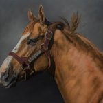 California Chrome, 2017. Artist: Anne-Marie Kornachuk