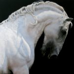 White Horse, 2016. Artist: Anne-Marie Kornachuk