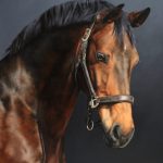 Winston: Portrait of a Horse, 2016. Artist: Anne-Marie Kornachuk