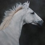 Equus 2, 2018, Oil on canvas, 36" x 36". Artist: Anne-Marie Kornachuk