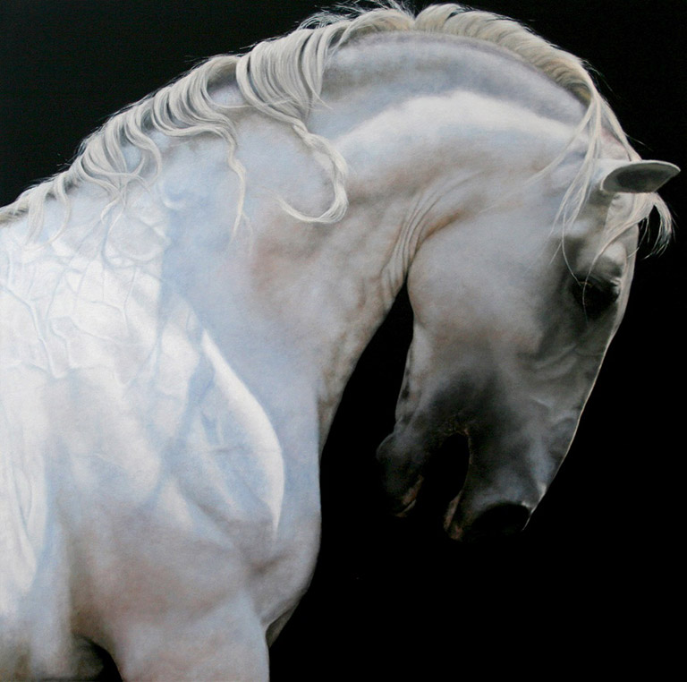 Past Work: Equus (Tender, 2019 - Anne-Marie Kornachuk)